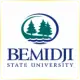 Bemidji State University - Engineering School Ranking