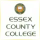 Essex County College - Engineering School Ranking