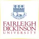 Fairleigh Dickinson University Metropolitan - Engineering School Ranking