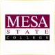 Colorado Mesa University - Engineering School Ranking