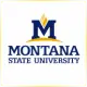 Montana State University - Engineering School Ranking