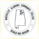 Northeast Alabama Community College - Engineering School Ranking