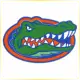 University of Florida - Engineering School Ranking