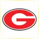 University of Georgia - Engineering School Ranking
