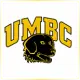 University of Maryland Baltimore County - Engineering School Ranking