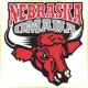 University of Nebraska at Omaha - Engineering School Ranking