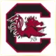 University of South Carolina Columbia - Engineering School Ranking