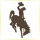 University of Wyoming - Engineering School Ranking