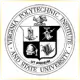 Virginia Polytechnic Institute and State University - Engineering School Ranking